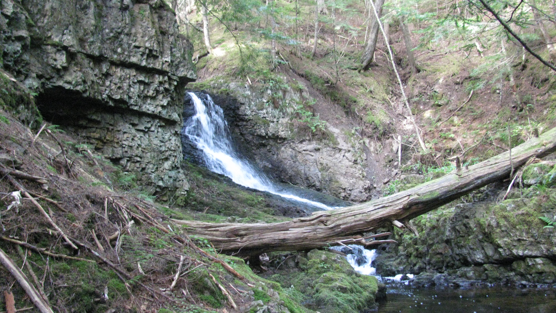 fall brook falls.png